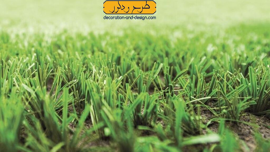 فضاهای عمومی و پارک‌ها